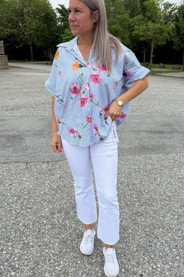 glenna1.jpg