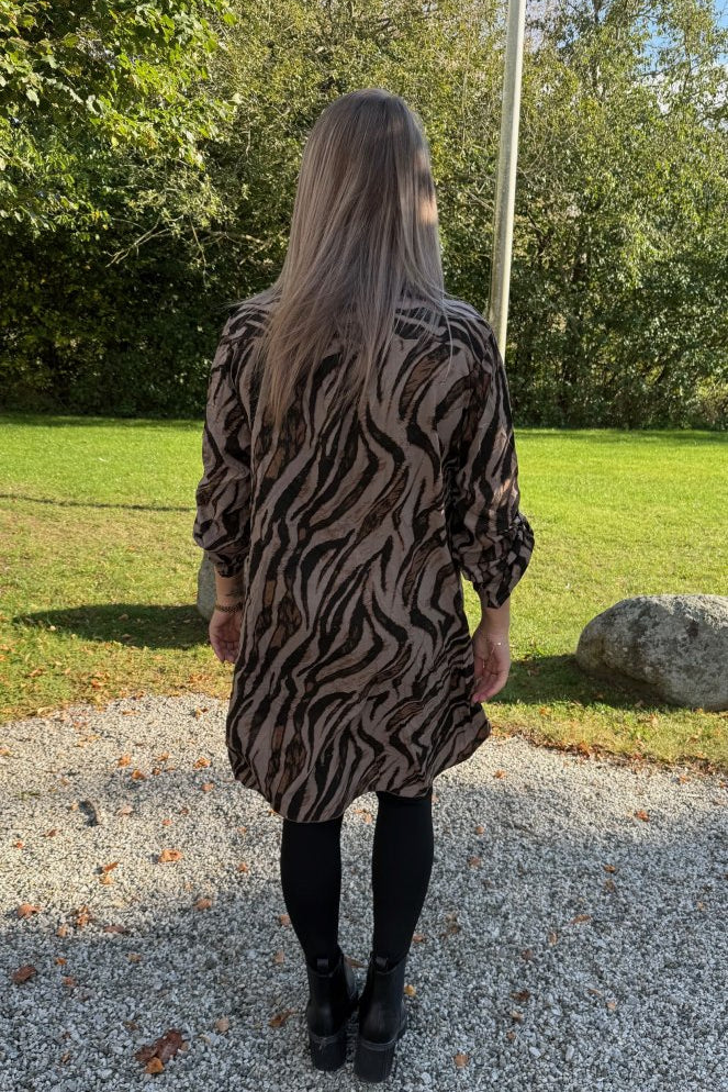 pennybrun2.jpg