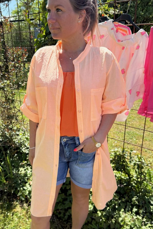rosea8.jpg