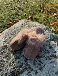 Ellie - Innesko - Brown - Nyhet